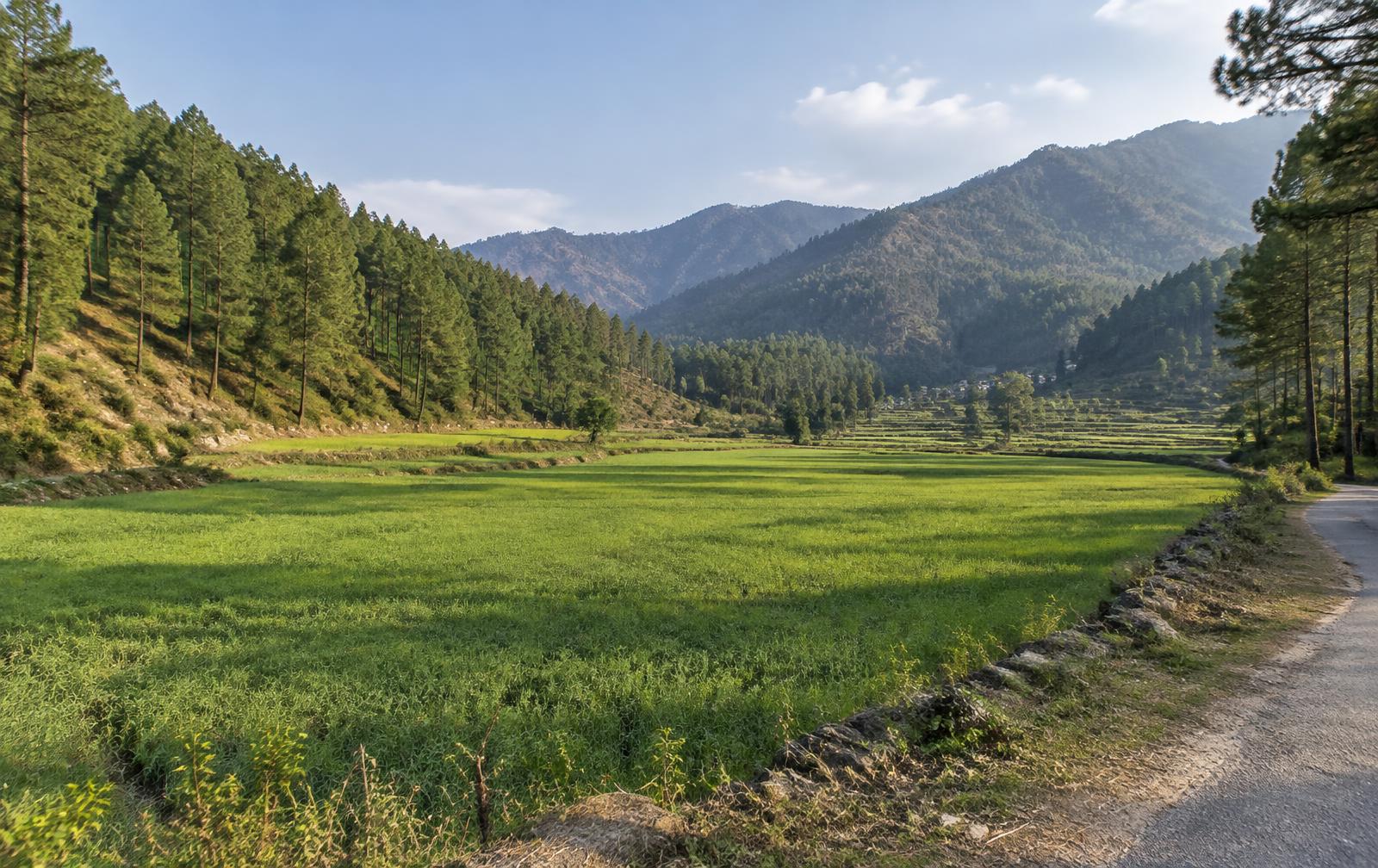 17 Nali Land in Bel Basani