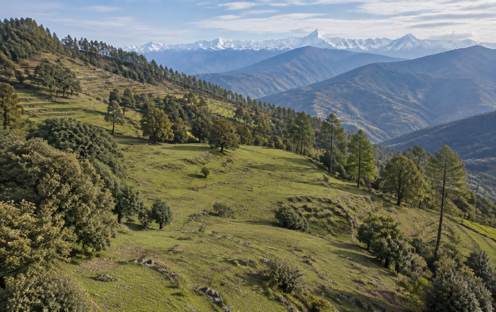 Kumaon hillside land (illustrative)